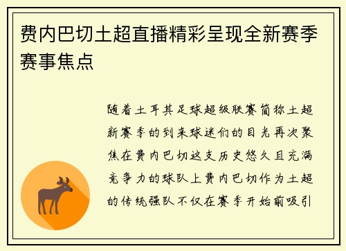 费内巴切土超直播精彩呈现全新赛季赛事焦点